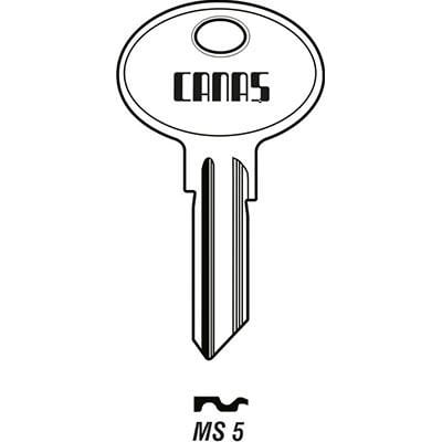 MS 5