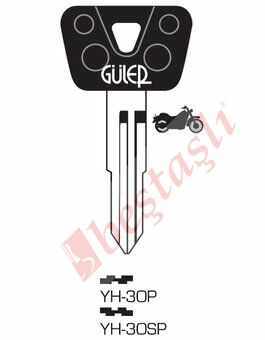 YH 30SP