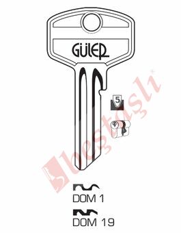 DOM 19