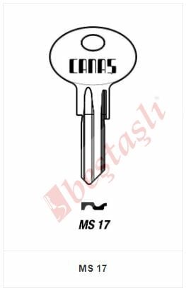 MS 17