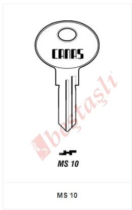MS 10