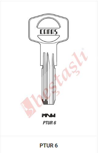 PTUR 6