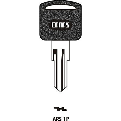 ARS 1P