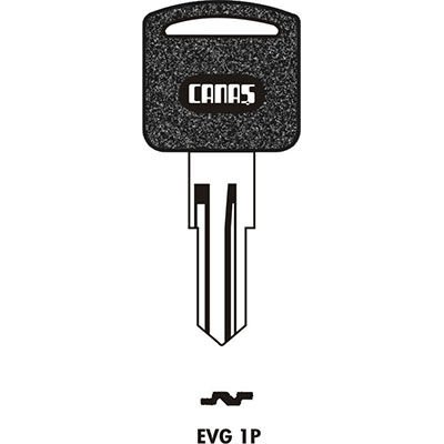 EVG 1P