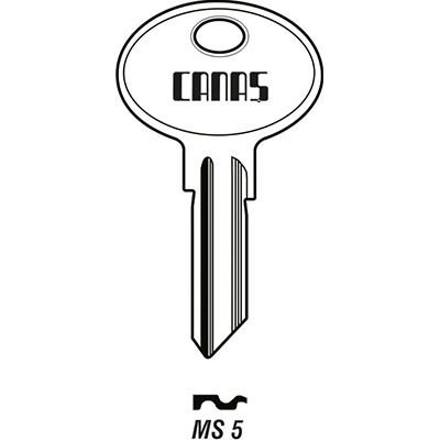 MS 5