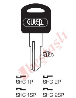 SHG 2SP