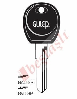 GAU 2P