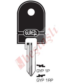 GYP 1P